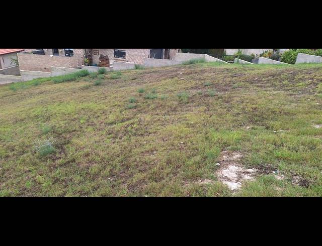 LAND FOR SALE IN MONTE CHRISTO